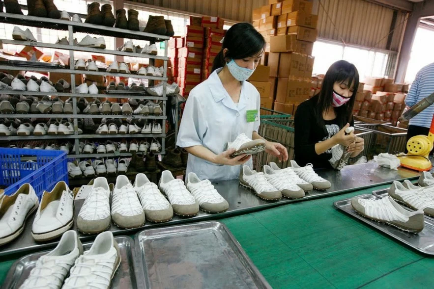 Lập hàng rào sở hữu trí tuệ để giữ thị trường xuất khẩu Lập hàng rào sở hữu trí tuệ để giữ thị trường xuất khẩu