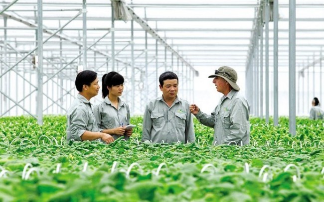 Quy định mới về đăng ký tổ hợp tác, hợp tác xã, liên hiệp hợp tác xã