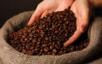 Ngày 28/7: Giá cà phê tăng nhẹ, hồ tiêu giữ đỉnh 141.000 đồng/kg