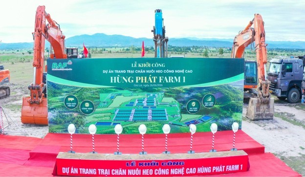 BAF 6 tháng đầu năm 2026: Tăng 61% sản lượng heo so với cùng kỳ năm trước, đẩy mạnh đầu tư cho chu kỳ tăng trưởng mới BAF 6 tháng đầu năm 2026: Tăng 61% sản lượng heo so với cùng kỳ năm trước, đẩy mạnh đầu tư cho chu kỳ tăng trưởng mới