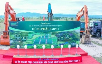 BAF 6 tháng đầu năm 2026: Tăng 61% sản lượng heo so với cùng kỳ năm trước, đẩy mạnh đầu tư cho chu kỳ tăng trưởng mới