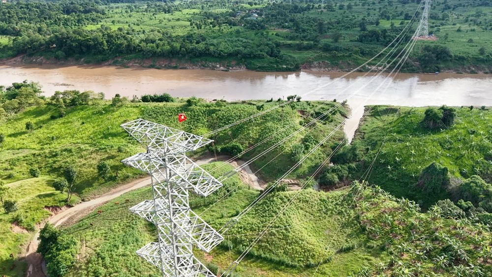 Savan 1 và hành trình 25 năm của một tài sản nhiều tỷ đô Savan 1 và hành trình 25 năm của một tài sản nhiều tỷ đô