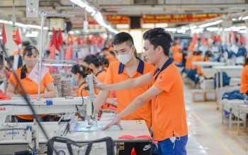 Việt Nam nhập siêu 20,52 tỷ USD trong 7 tháng đầu năm