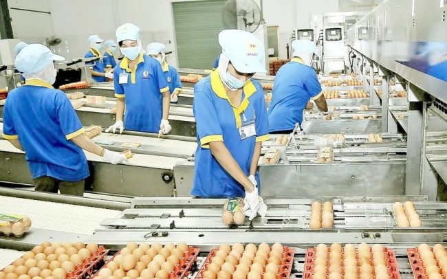 Gần 126 nghìn doanh nghiệp "khai sinh" trong 7 tháng năm 2026