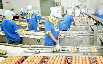 Gần 126 nghìn doanh nghiệp "khai sinh" trong 7 tháng năm 2026