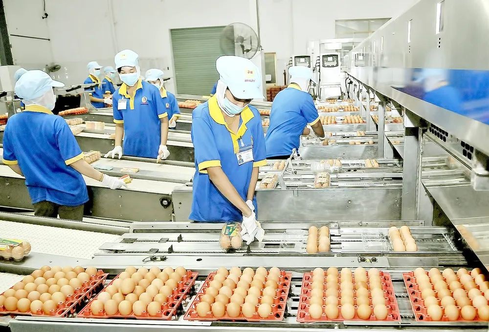 Gần 126 nghìn doanh nghiệp khai sinh trong 7 tháng đầu năm 2026 Gần 126 nghìn doanh nghiệp khai sinh trong 7 tháng đầu năm 2026