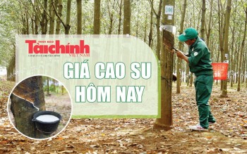 Ngày 5/8: Giá cao su trên các sàn giao dịch châu Á biến động trái chiều