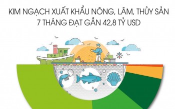 Nông sản Việt "đua" với thời gian để cán đích 74 tỷ USD