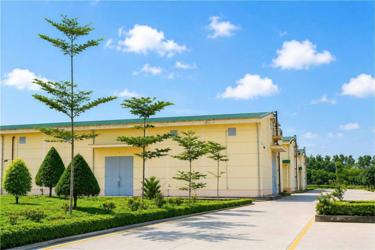 Chi cục Dự trữ Nhà nước khu vực IX: 70 năm hành trình giữ lửa nguồn lực chiến lược
