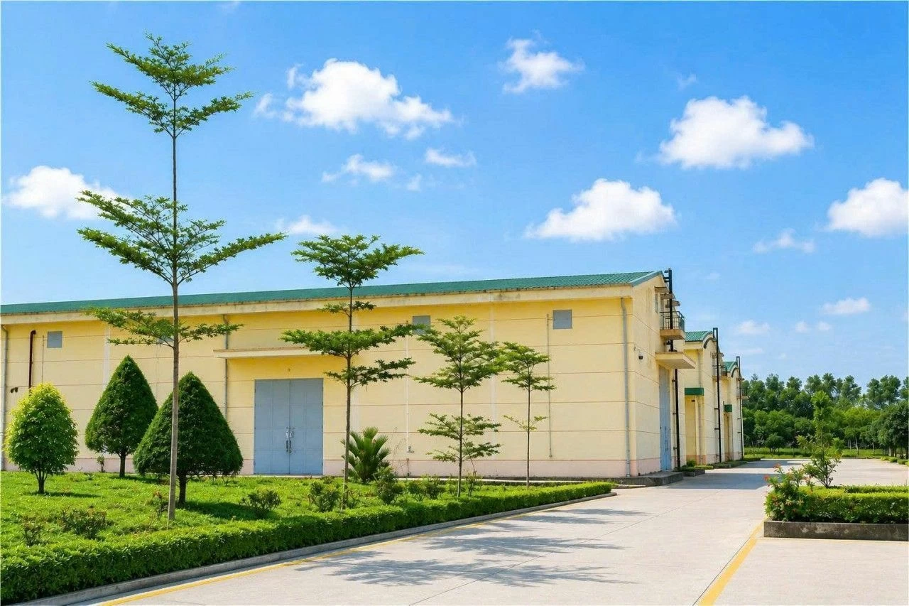 Chi cục Dự trữ Nhà nước khu vực IX: 70 năm hành trình giữ lửa nguồn lực chiến lược