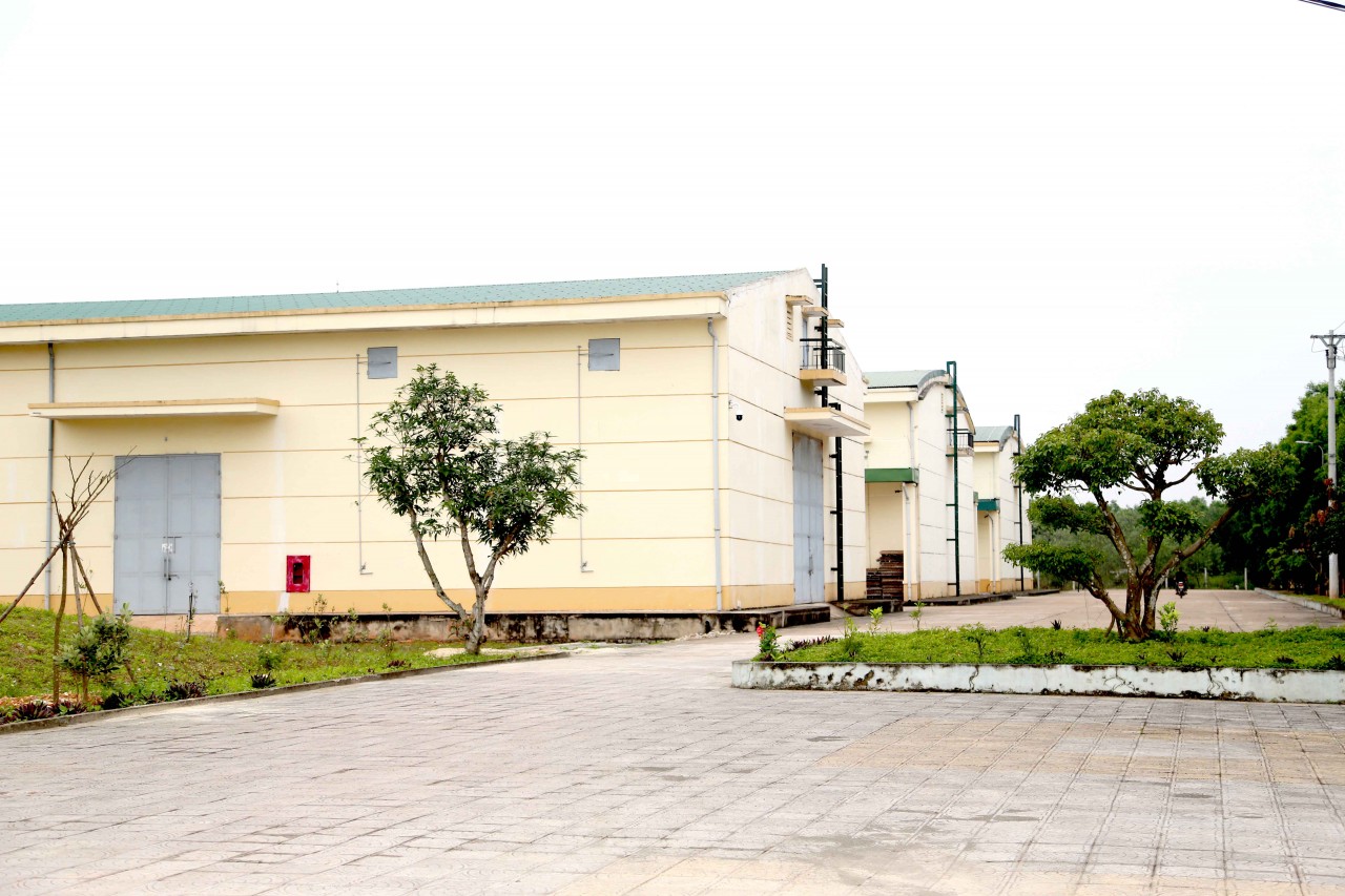 Chi cục Dự trữ Nhà nước khu vực IX: 70 năm hành trình giữ lửa nguồn lực chiến lược