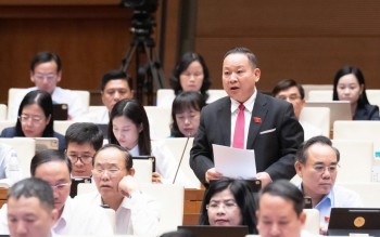 Hoàn thiện hành lang pháp lý cho hải quan số, hải quan thông minh