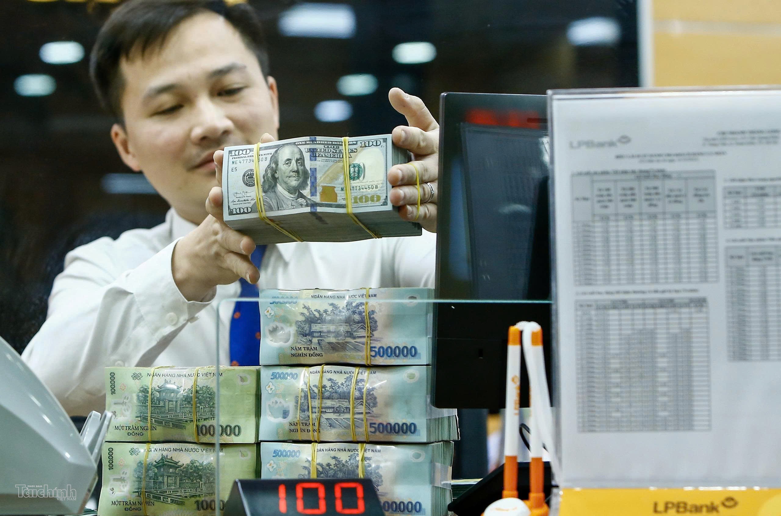 Việt Nam phải xây hạ tầng tài chính trước khi mở rộng quy mô dự án để hút vốn xanh