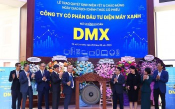Cổ phiếu Điện Máy Xanh (DMX) tăng 2,5% trong phiên "chào sàn", vốn hóa đạt gần 104.000 tỷ đồng