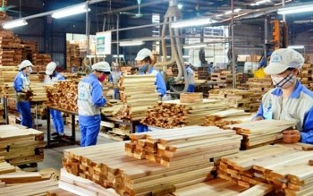 Thị trường nội địa kỳ vọng trở thành động lực mới của ngành gỗ