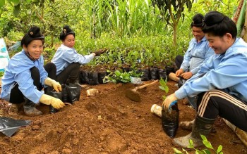 Chương trình mục tiêu quốc gia: Khởi động giai đoạn mới