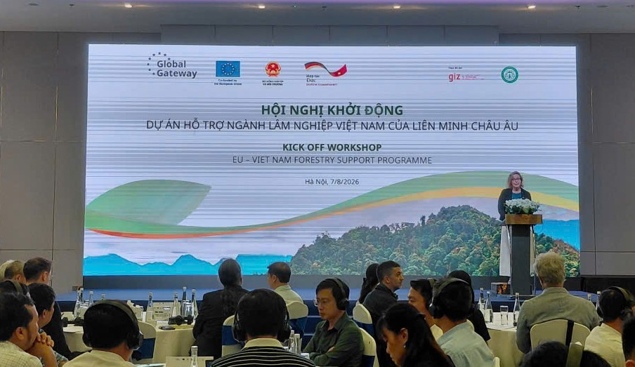 EU tài trợ 20 triệu EUR thúc đẩy chuỗi giá trị lâm nghiệp xanh tại Việt Nam EU tài trợ 20 triệu EUR thúc đẩy chuỗi giá trị lâm nghiệp xanh tại Việt Nam