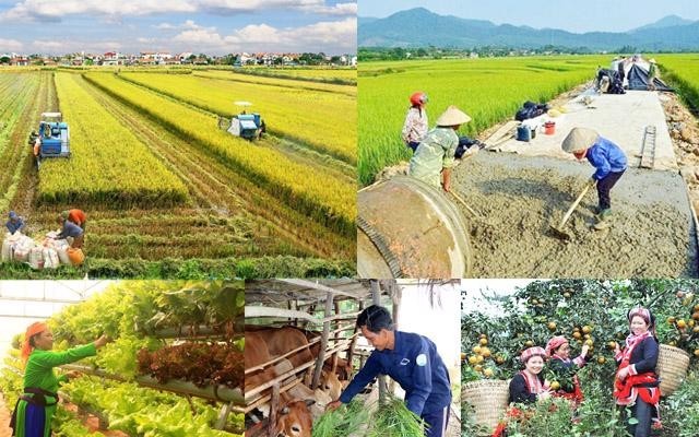 Thống nhất 4 chương trình mục tiêu quốc gia: Đổi cách quản lý và sử dụng nguồn lực