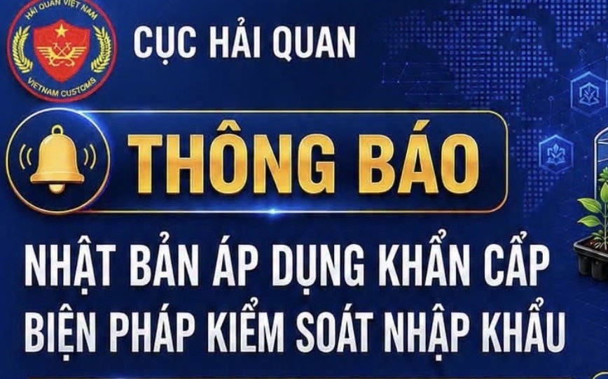 Hải quan cảnh báo quy định mới của Nhật Bản đối với hàng nông sản xuất khẩu