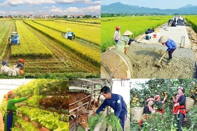 Giải ngân vốn các chương trình mục tiêu quốc gia còn chậm Giải ngân vốn các chương trình mục tiêu quốc gia còn chậm