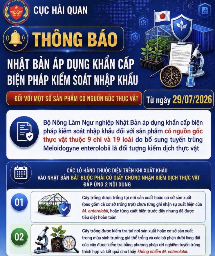 Hải quan cảnh báo quy định mới của Nhật Bản đối với hàng nông sản xuất khẩu Hải quan cảnh báo quy định mới của Nhật Bản đối với hàng nông sản xuất khẩu