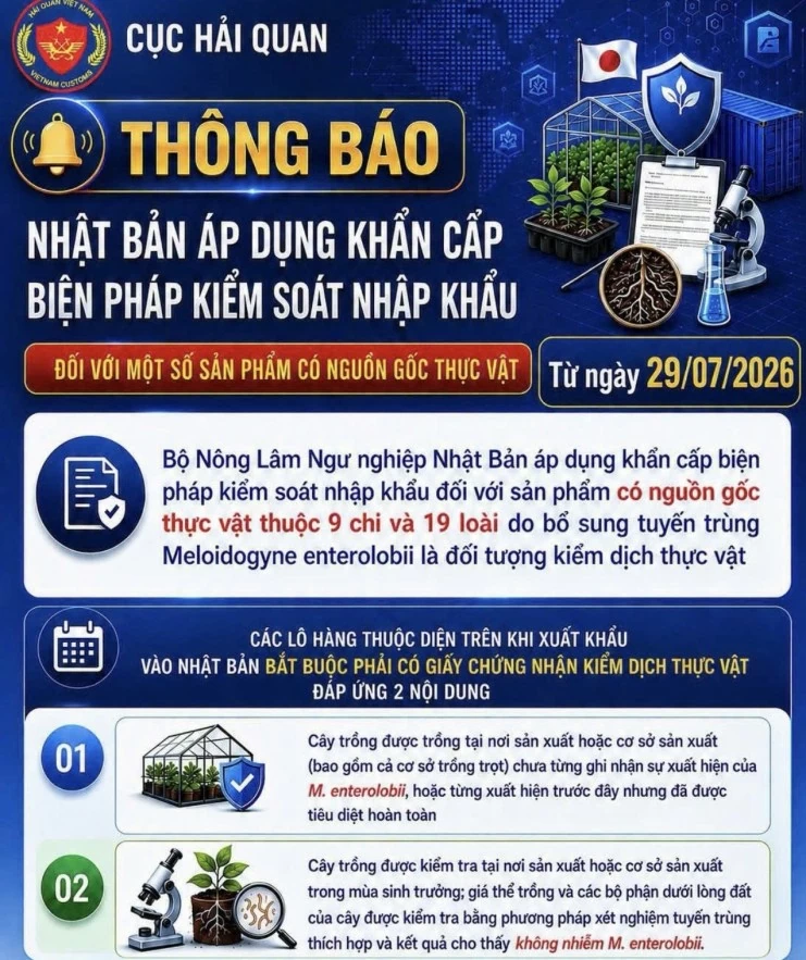 Hải quan cảnh báo quy định mới của Nhật Bản đối với hàng nông sản xuất khẩu