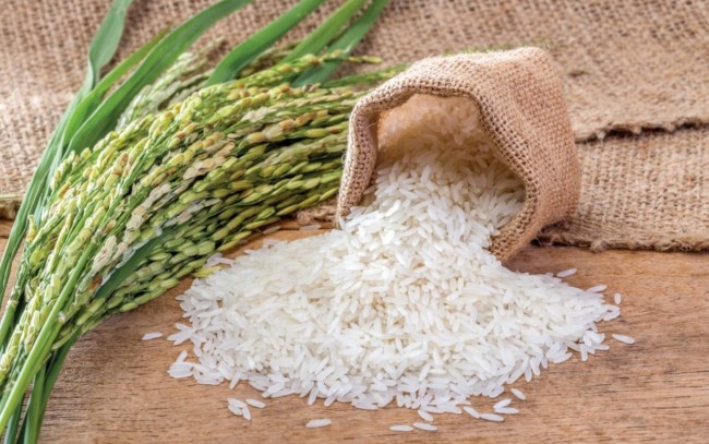 Ngày 9/8: Giá lúa gạo tại Đồng bằng sông Cửu Long ít biến động
