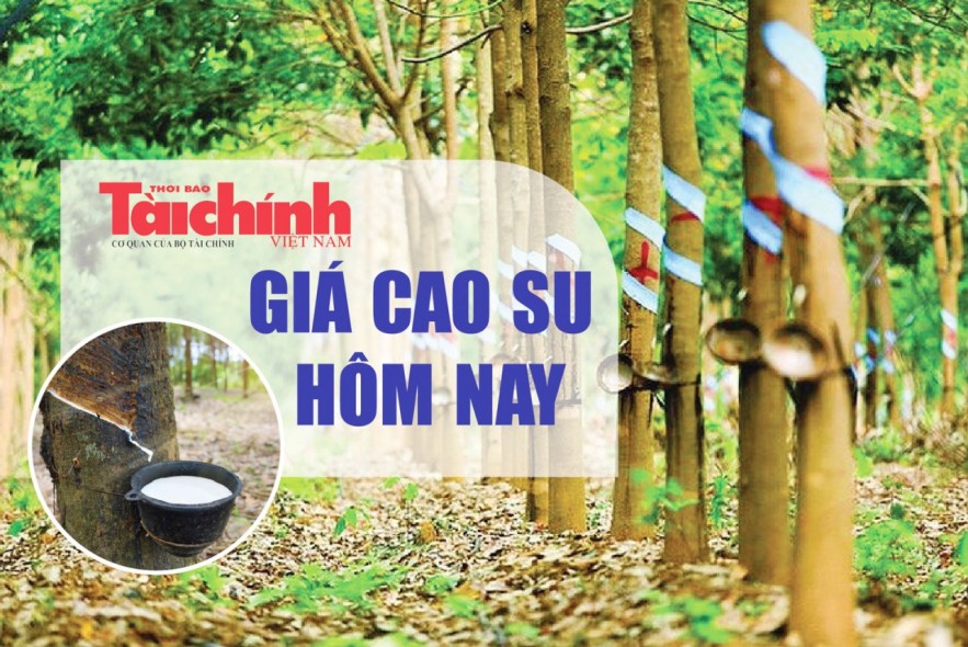 Ngày 10/8: Giá cao su thế giới phục hồi mạnh