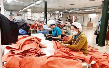 Việt Nam cần biến sức ép từ thuế quan thành động lực cải cách