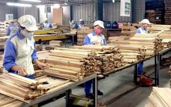 Doanh nghiệp xuất khẩu gỗ cần xác định đúng mã HS để áp dụng thuế suất