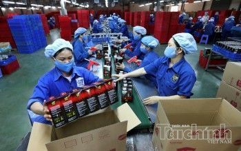 Hỗ trợ doanh nghiệp nhỏ và vừa nhận diện những sai sót, rủi ro pháp lý