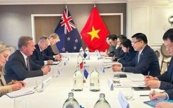 Việt Nam - New Zealand thúc đẩy thương mại, hướng tới kim ngạch 3 tỷ USD