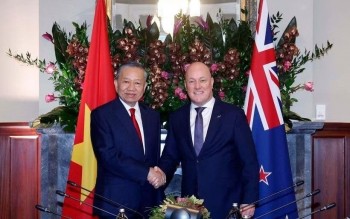 Phát triển toàn diện quan hệ giữa hai nước Việt Nam và New Zealand