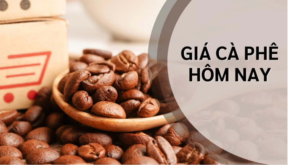 Ngày 16/8: Giá cà phê tiếp tục giảm nhẹ, hồ tiêu đi ngang