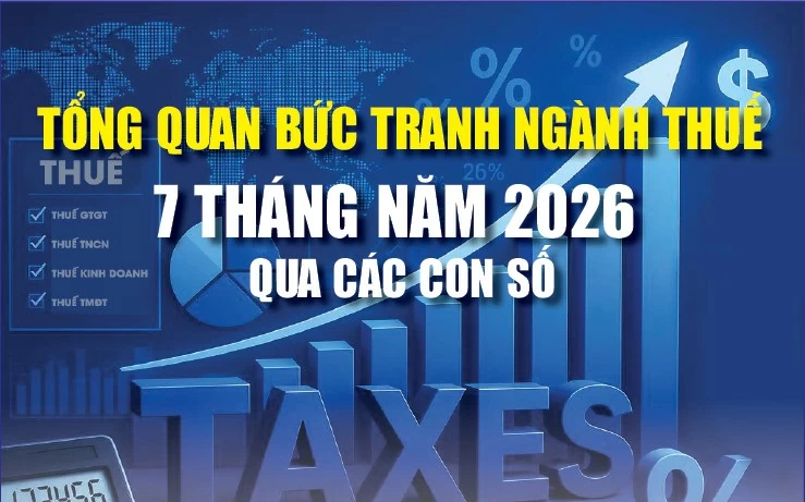 infographics tong quan buc tranh nganh thue 7 thang nam 2026 qua cac con so