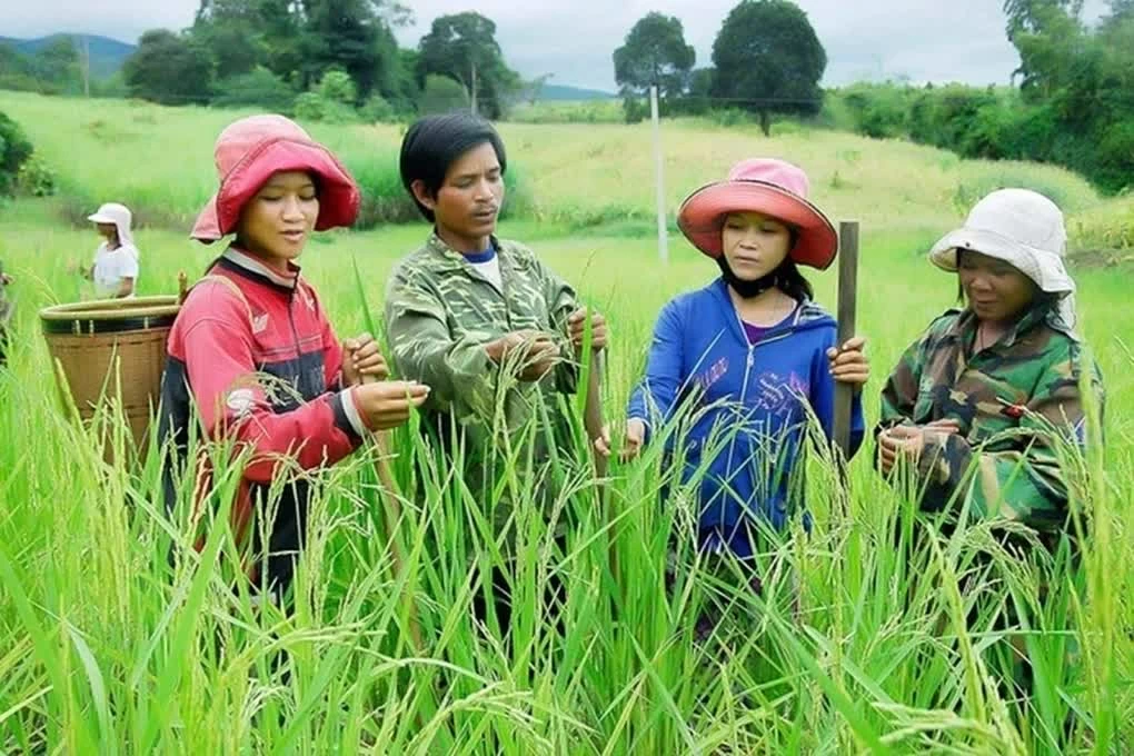Đề xuất đổi cách phân bổ nguồn lực cho Chương trình mục tiêu quốc gia