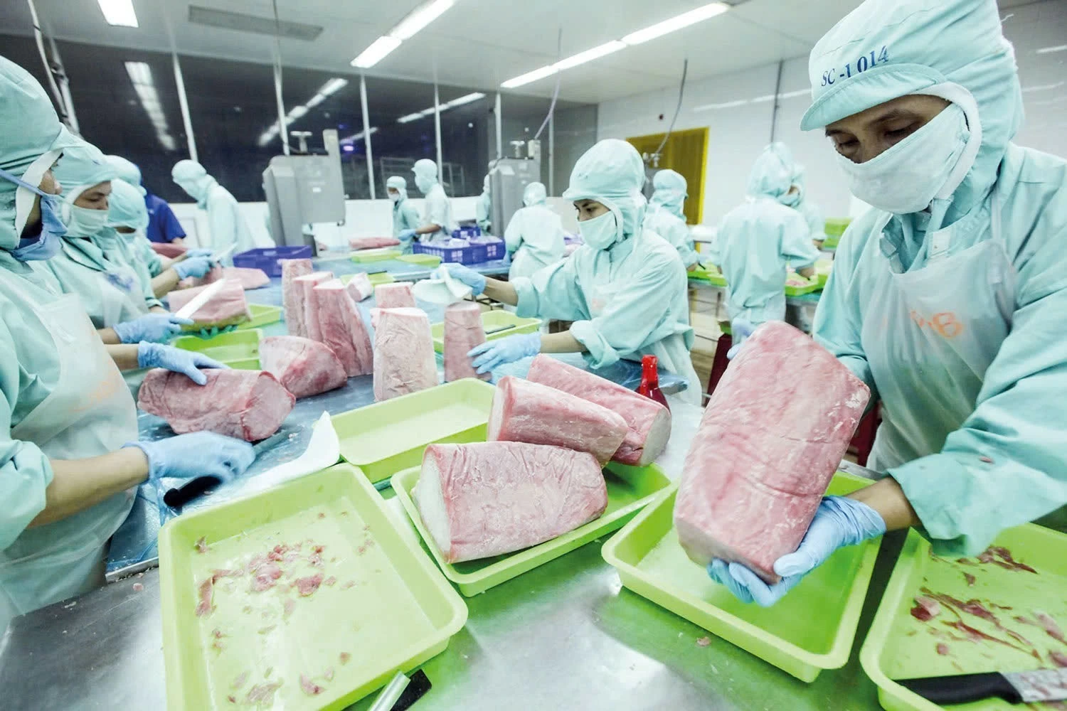 Doanh nghiệp thủy sản, giày dép gặp khó vì C/O Doanh nghiệp thủy sản, giày dép gặp khó vì C/O