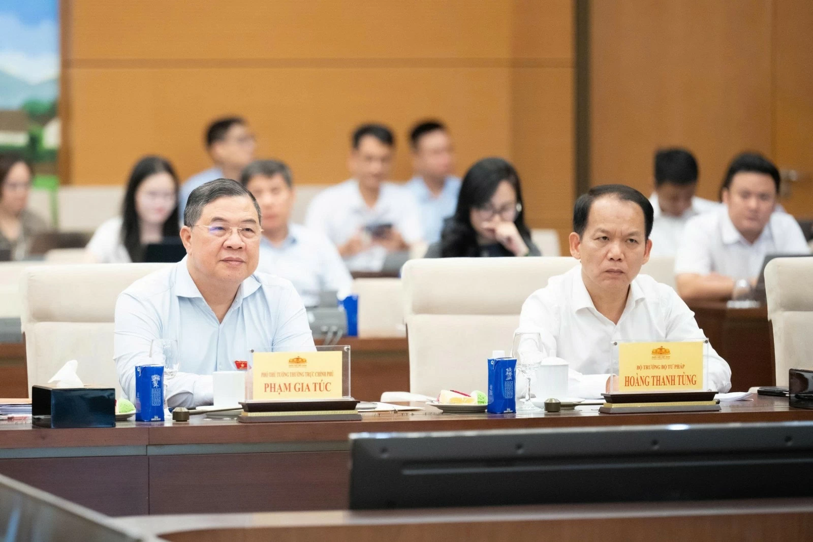 Đất lấn biển phải thuộc sở hữu của Nhà nước