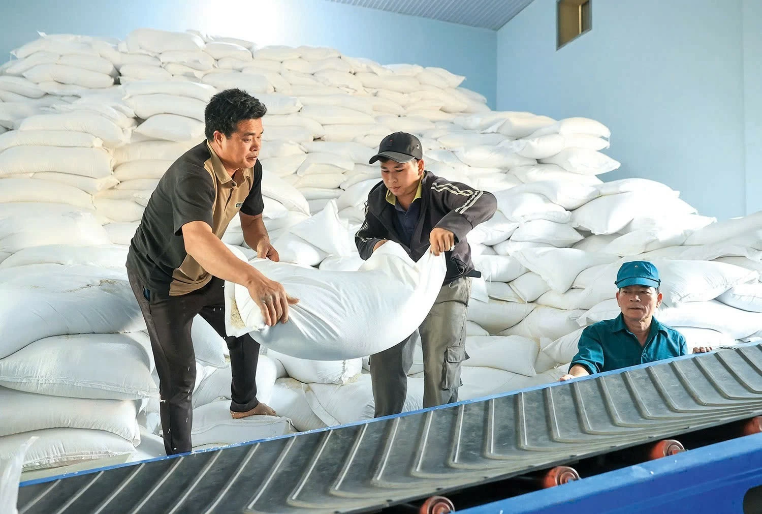 Xuất cấp gần 60.000 tấn gạo hỗ trợ học viên, học sinh vùng khó khăn Xuất cấp gần 60.000 tấn gạo hỗ trợ học viên, học sinh vùng khó khăn