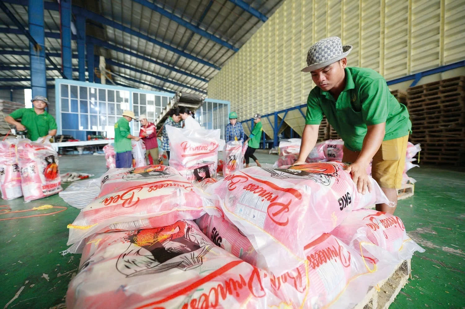 Giá gạo xuất khẩu tăng trước áp lực cung và thời tiết Giá gạo xuất khẩu tăng trước áp lực cung và thời tiết