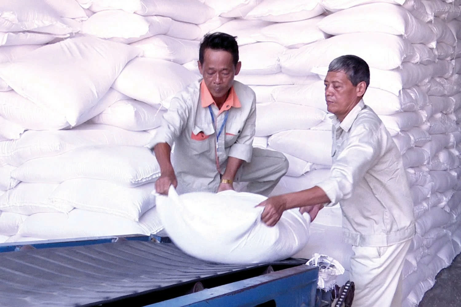 Kiểm tra việc đấu thầu, nhập gạo dự trữ quốc gia Kiểm tra việc đấu thầu, nhập gạo dự trữ quốc gia