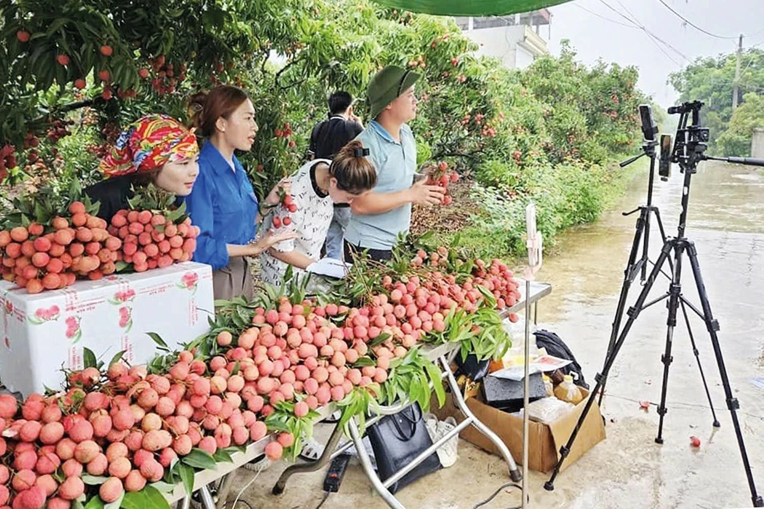 Nông sản “lên sóng”, rộng đường ra thị trường Nông sản “lên sóng”, rộng đường ra thị trường