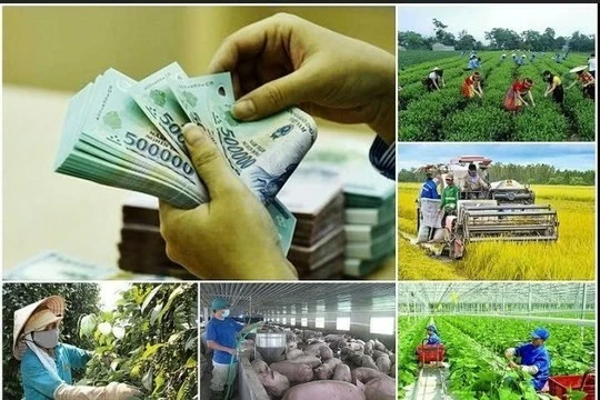 Tích hợp 4 chương trình mục tiêu quốc gia: Không để gián đoạn chính sách, nguồn lực Tích hợp 4 chương trình mục tiêu quốc gia: Không để gián đoạn chính sách, nguồn lực