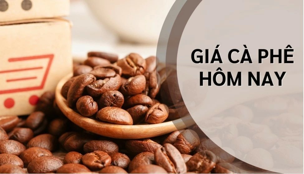 Ngày 25/8: Giá cà phê tiếp đà khởi sắc, hồ tiêu neo ở mức cao Ngày 25/8: Giá cà phê tiếp đà khởi sắc, hồ tiêu neo ở mức cao
