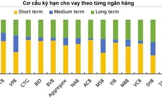 tin dung trung va dai han tang toc nim them luc do nhung di kem ap luc phia sau