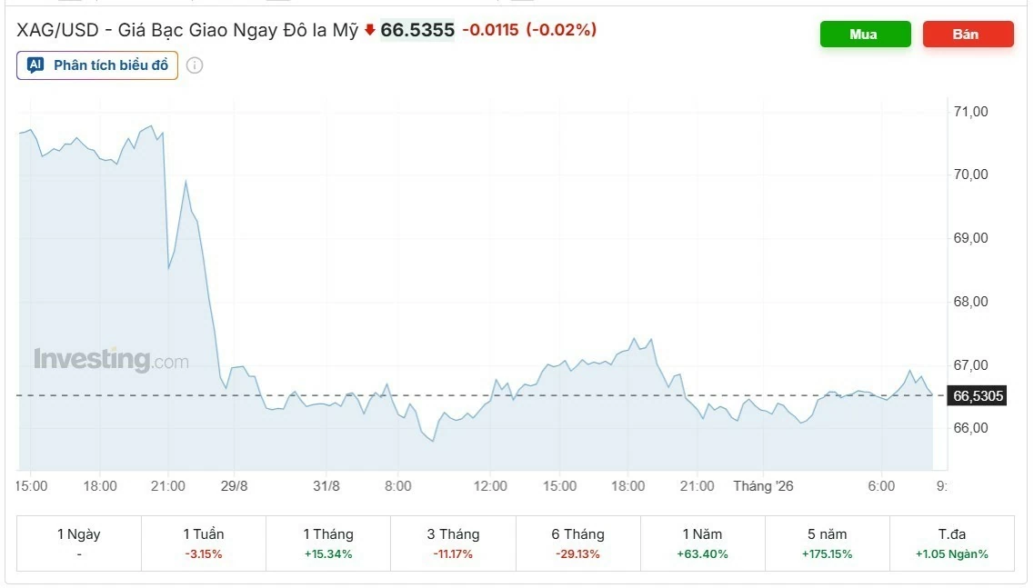 Ngày 1/9: Giá bạc trong nước tăng, thế giới lùi về 66,5355 USD/ounce