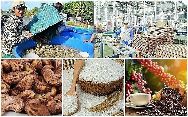 Xuất khẩu nông, lâm, thủy sản đạt gần 49,3 tỷ USD sau 8 tháng
