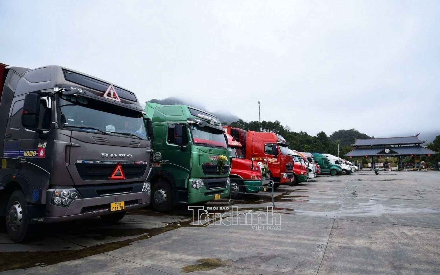 quy dinh ve chi tieu thong tin mau chung tu khai bao khi lam thu tuc xuat nhap canh qua canh doi voi phuong tien van tai