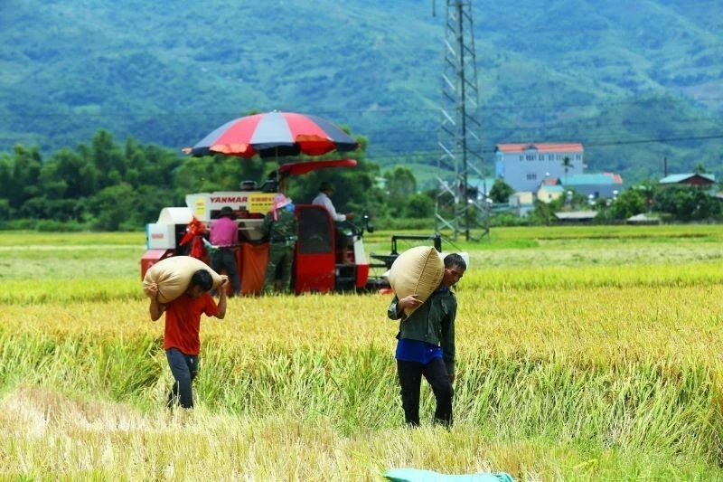 Đề xuất cơ chế mới để vận hành Chương trình mục tiêu quốc gia sau hợp nhất