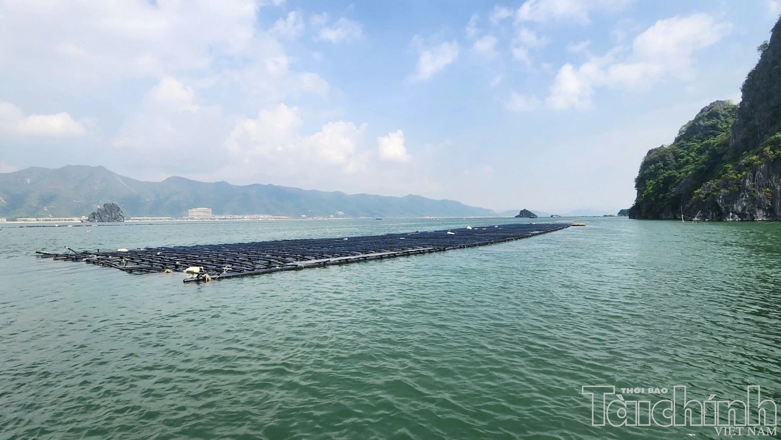Quảng Ninh đề xuất mở rộng không gian nuôi biển lên gần 140.000 ha Quảng Ninh đề xuất mở rộng không gian nuôi biển lên gần 140.000 ha
